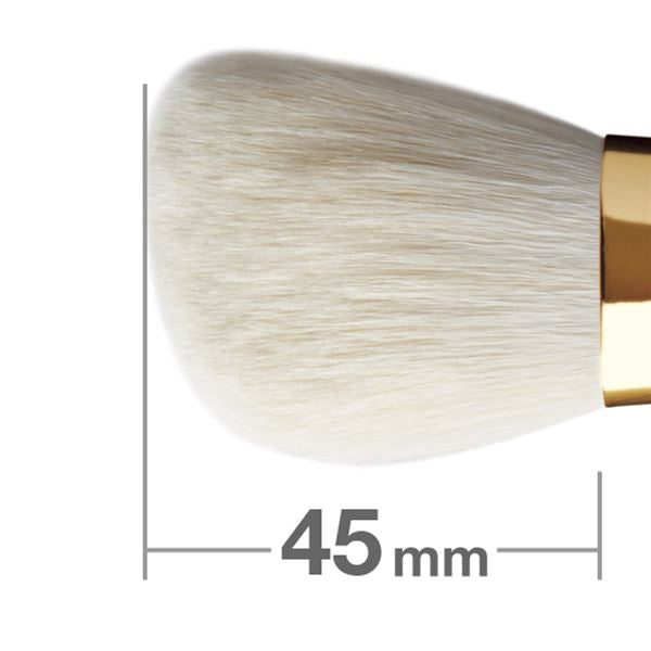 S531Bk Powder Brush Angled [HB0074]